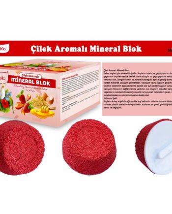 BİOLİVE Çilek Aromalı Mineral Blok