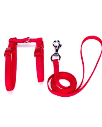 Kedi Göğüs Bel Tasması Dokuma 22/36 cm Kırmızı
