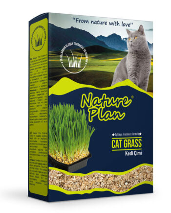 Oripet Nature Plan İnce Kedi Çimi