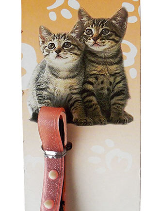 Eastland Kedi Boyun Tasması 1 cm x 31 cm Karışık