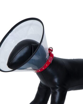 Elizabeth Köpek Yakalığı 25 CM
