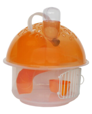 Eastland Hamster Evi