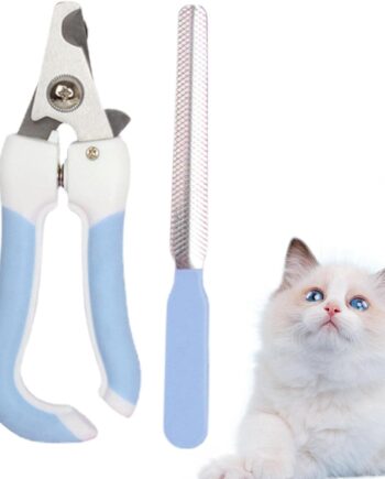 Törpülü Kedi Köpek Tırnak Makası 5,5*14,5 cm Turkuaz