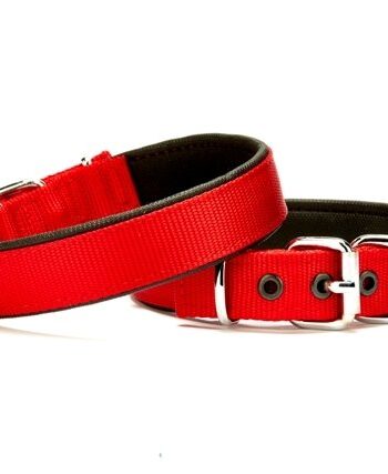 Doggie Softlu Köpek Boyun Tasması 1,5 cm x 30 cm Kırmızı