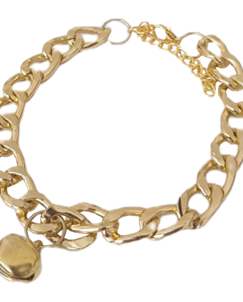 Markapet Kedi Ve Köpek Lüx Zincir Kolye 25-30 cm Medium Gold