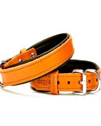 Doggie Comfort Deri Köpek Boyun Tasması 1,5x 25-33 cm Camel
