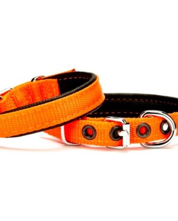 Doggie Softlu Köpek Boyun Tasması 1,5 cm x 30 cm Turuncu