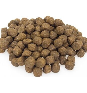 Animal World Adult Cat Kuzu Etli ve Pirinçli Kedi Maması 1 Kg Açık Mama
