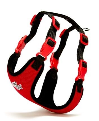 Doggie Havalı Köpek Göğüs Tasması 30x35 cm Kırmızı