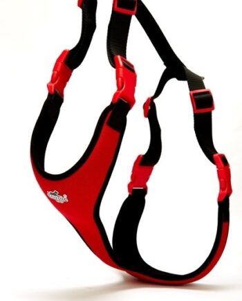 Doggie Softlu Siyah Köpek Bel Tasması 70/95 cm Kırmızı