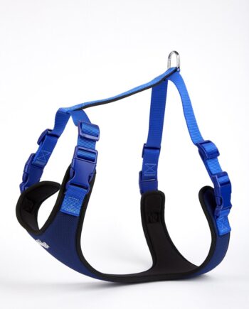 Doggie Softlu Siyah Köpek Bel Tasması 70/95 cm Mavi