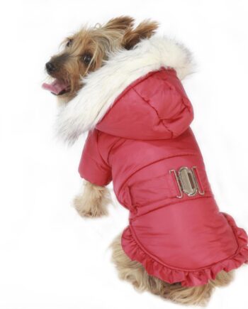 Angel Coat Cherry Küçük Irk Kapşonlu Mont Yağmurluk Medium