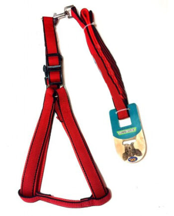 Ans Köpek Gezdirme Kayısı + Göğüs Tasması 30-50 cm - 120 cm