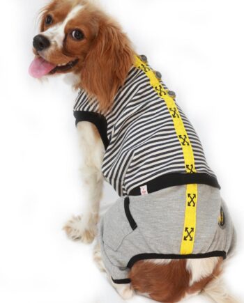 Arrow Romper Köpek Tulumu Kıyafeti XX Large