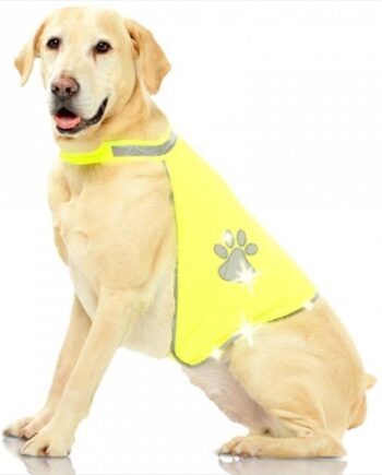 Pawise Fosforlu Köpek Yeleği Small 30*46 cm