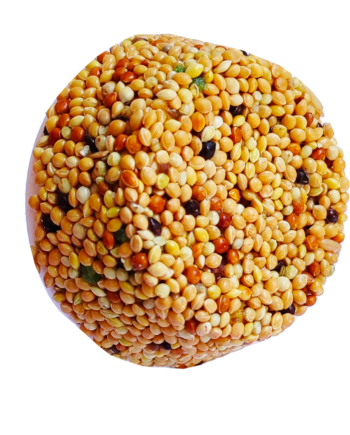 Markapet Ballı Meyveli Blok Kuşlar İçin Mineral Blok 100 gr