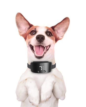 Doggie Havlama Önleyici Eğitim Tasması Ayarlanabilir Siyah