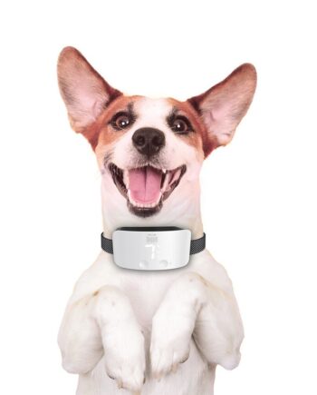 Doggie Havlama Önleyici Eğitim Tasması Ayarlanabilir Beyaz