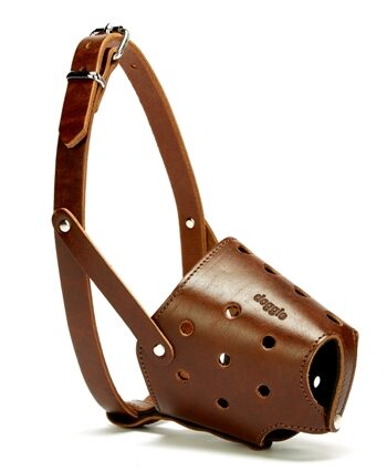 Doggie Eğitim Serisi Deri El Yapımı Kısa Burunlu Köpek Ağızlığı 1,5x45 cm Kahverengi