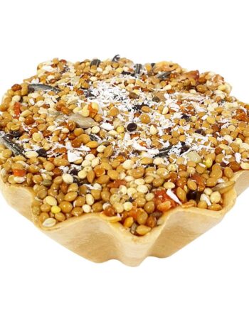 Benny Atomix Paraket Snack Kraker
