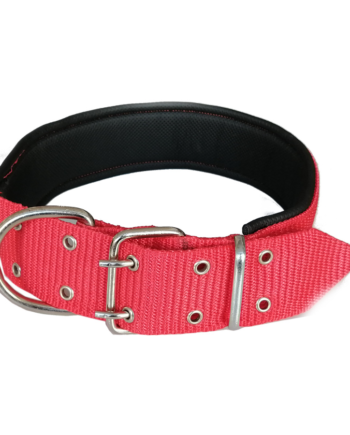 İri Irk Köpek Boyun Tasması 5 x 80 cm Kırmızı