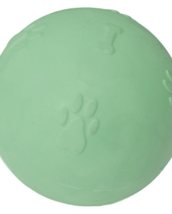 Pati Desenli Termoplastik Sert Köpek Oyun Topu 6 cm Small Yeşil