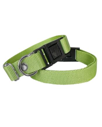 Markapet Köpek Tasması Dokuma 2 cm - Min: 30 cm - Max: 50 cm Yeşil