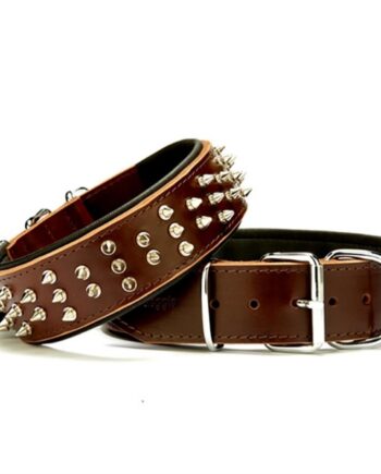 Doggie Ektsra Çivili Deri Köpek Boyun Tasması 5x50-60 cm Kahverengi
