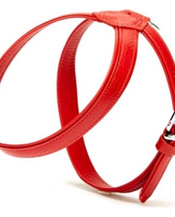 Doggie Flotter El Yapımı Deri Köpek Göğüs Tasması 2 x 42 -55 cm Kırmızı