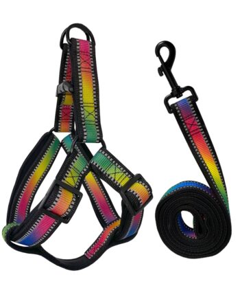 Köpek Göğüs Tasma Seti Reflektörlü Gökkuşağı Desenli 120 cm-40 cm-58 cm Renkli