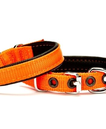 Doggie Softlu Köpek Boyun Tasması 1,5 cm x 35 cm Turuncu