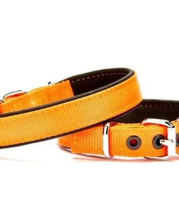 Yumuşak Doku Köpek Boyun Tasması 2,5/55 cm Turuncu