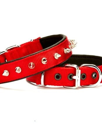 Doggie Çivi Desenli Köpek Tasması 2,5*50 cm Kırmızı