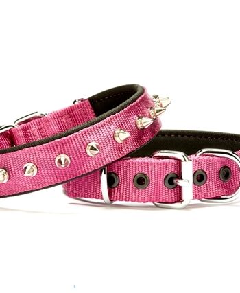 Doggie Çivi Desenli Köpek Tasması 2,5*50 cm Mor