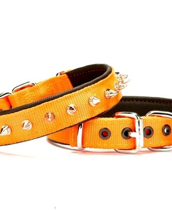 Doggie Çivi Desenli Köpek Tasması 2,5*50 cm Turuncu