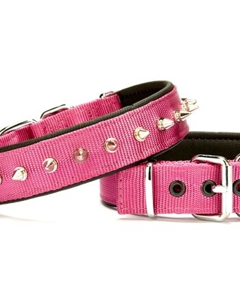 Doggie Çivi Desenli Köpek Tasması 3*55 cm Mor
