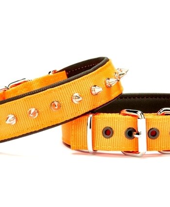 Doggie Çivi Desenli Köpek Tasması 3*65 cm Turuncu