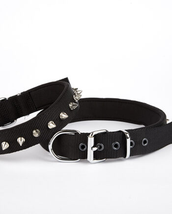Doggie Çivi Desenli Köpek Tasması 2,5*60 cm Siyah