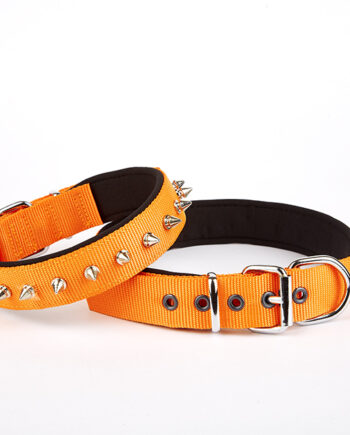 Doggie Çivi Desenli Köpek Tasması 2,5*60 cm Turuncu