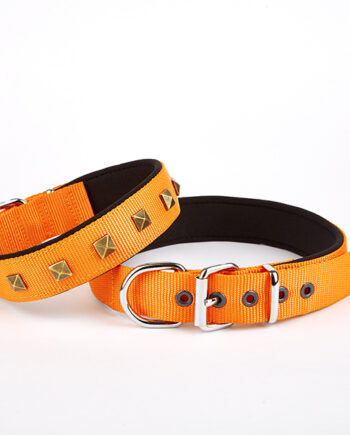 Doggie Piramit Desenli Köpek Tasması 3*42-50 cm Turuncu