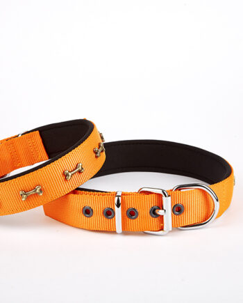 Doggie Softlu Kemik Desenli Köpek Tasması 2 cm x 45 cm Turuncu