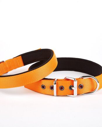 Doggie Softlu Köpek Boyun Tasması 3 cm x 55 cm Turuncu