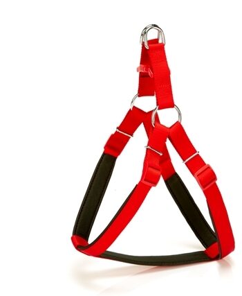Doggie Comfort Ronin Köpek Bel Tasması 70cm Large Kırmızı