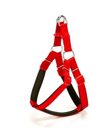 Doggie Comfort Ronin Köpek Bel Tasması 85cm X-Large Kırmızı
