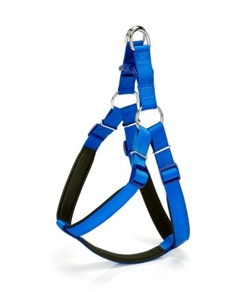 Doggie Comfort Ronin Köpek Bel Tasması 85 cm Mavi