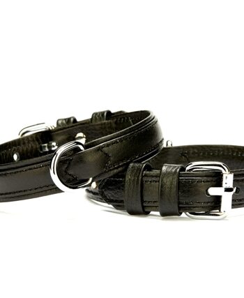 Doggie Deri Köpek Boyun Tasması 2 cmx30-37 cm Small Siyah