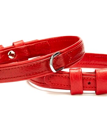 Doggie Flotter Deri Köpek Boyun Tasması 1,5-20x25 cm Kırmızı