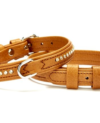 Doggie Flotter Deri Swarovski Kristal Taşlı Köpek Boyun Tasması 1,5 x 17-23 cm Kamel