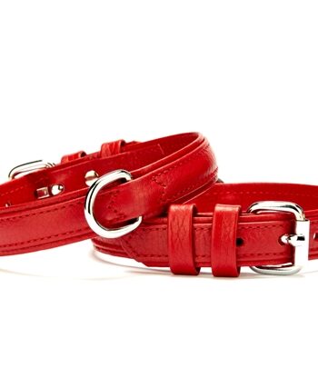 Doggie Flotter Çift Kat Deri Köpek Tasması 2,5x37-45 cm Kırmızı