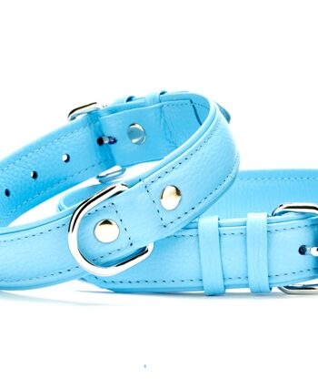 Doggie Flotter Çift Kat Deri Köpek Tasması 3,5x47-55 cm Mavi